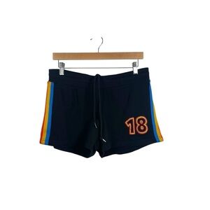 NWOT Coachella Fleece Rainbow Stripe Lounge Shorts in Black/Multi Size L